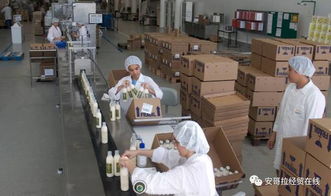 投資1000萬美元的化妝品加工廠在安開業，引領本土美妝產業新格局